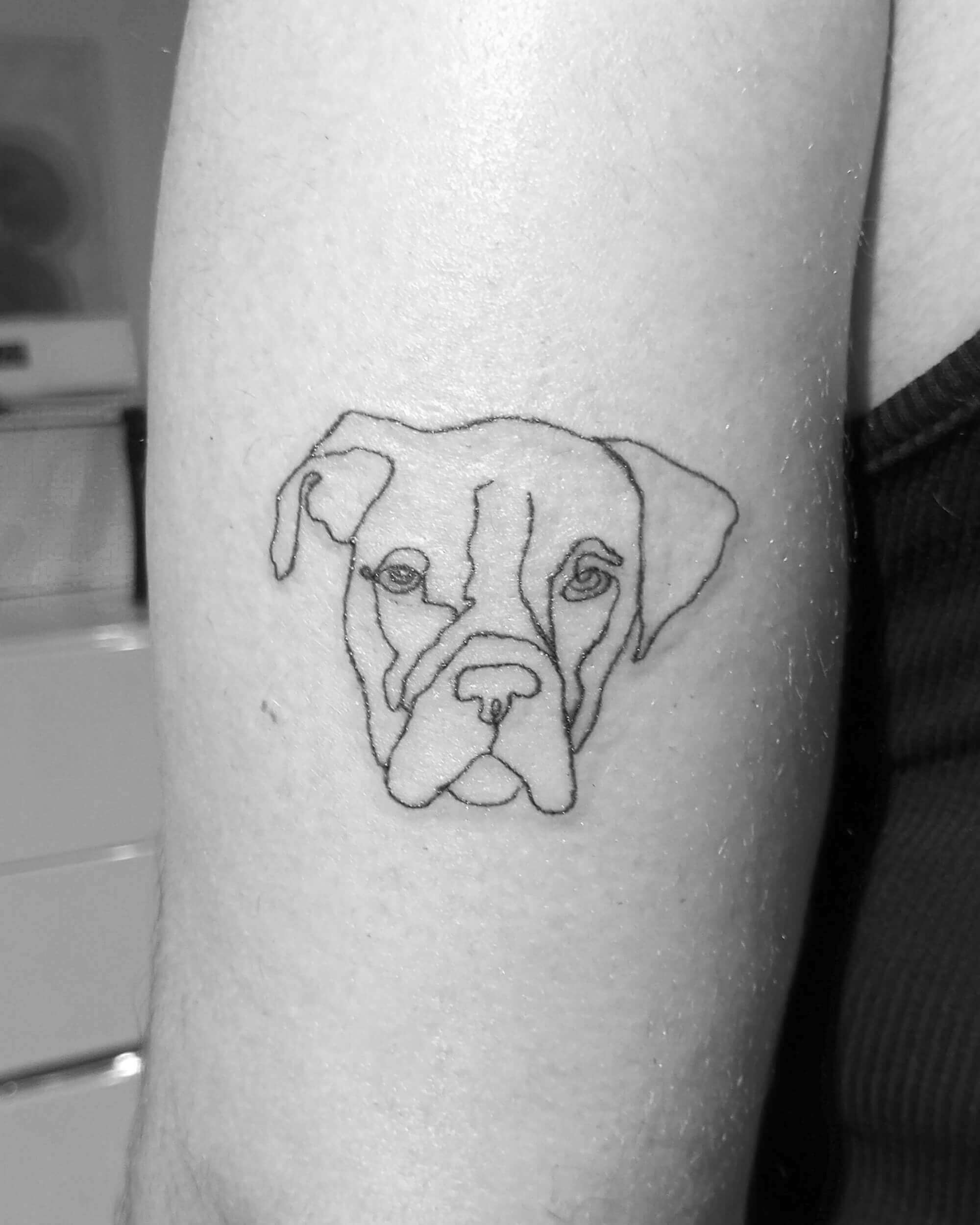 dog