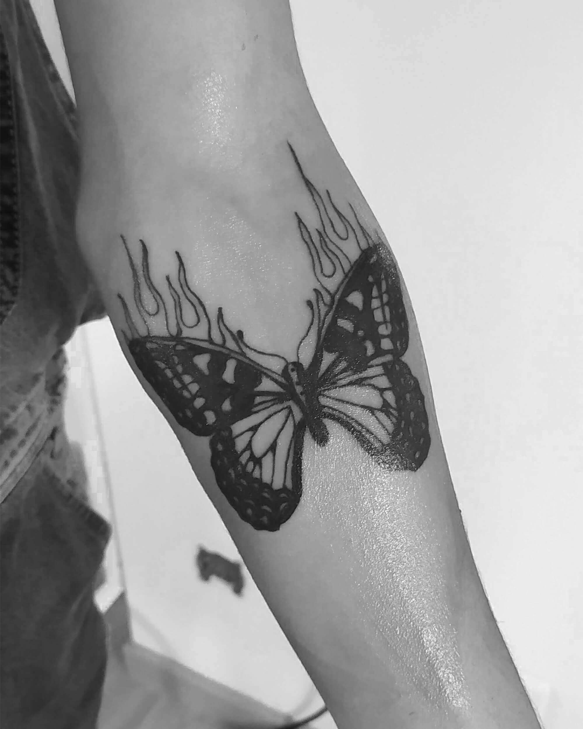 fire-butterfly
